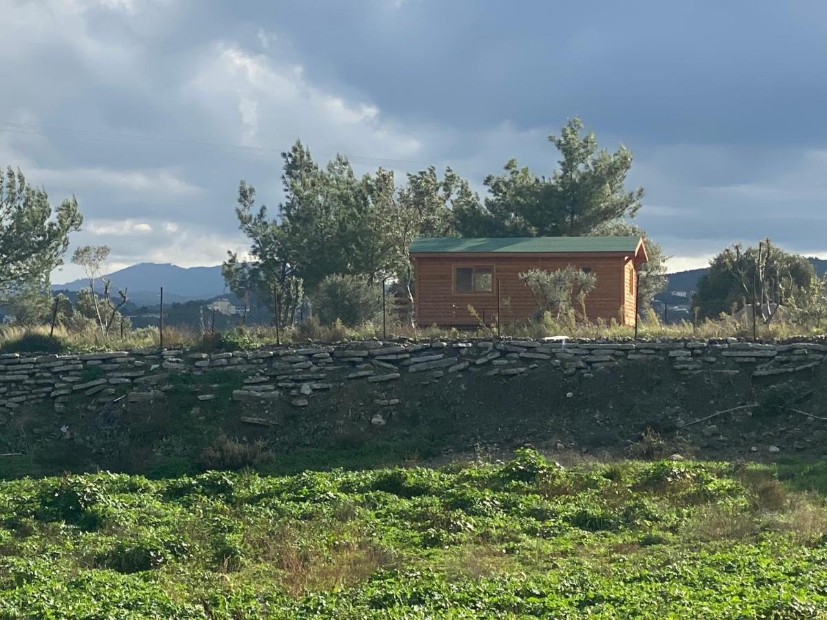Nefes URLA Bungalov Dış mekan fotoğraf